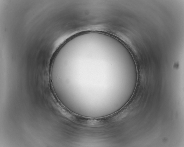 X0000090411176200707272043