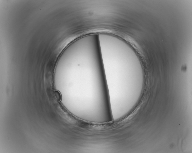 X0000090411177200707272043