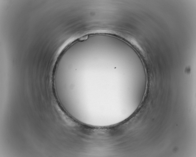 X0000090411181200707272042