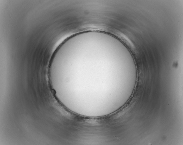 X0000090411182200707272042