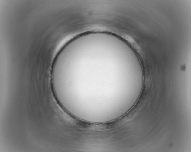 X0000090411183200707272042