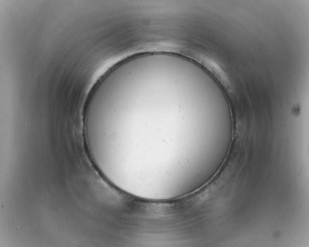X0000090411184200707272042