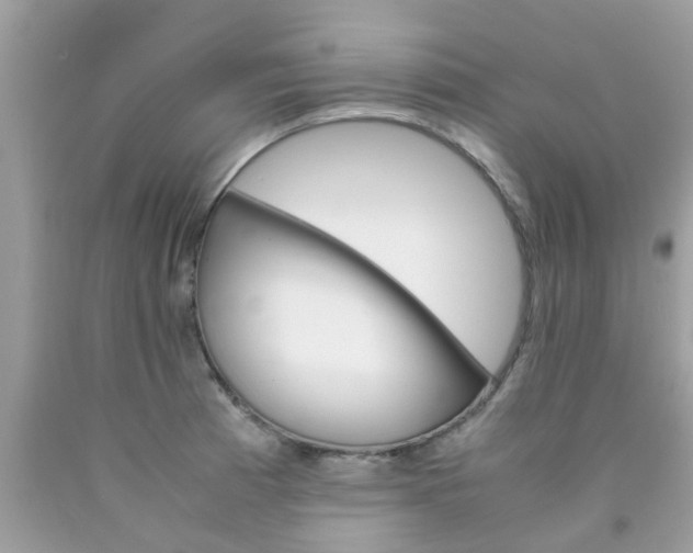 X0000090411185200707272042