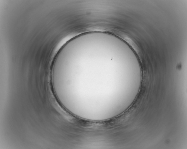 X0000090411187200707272042