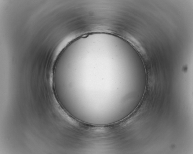 X0000090411188200707272042