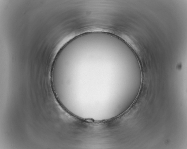 X0000090411189200707272042