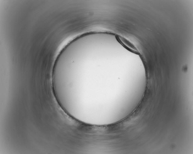 X0000090411191200707272042