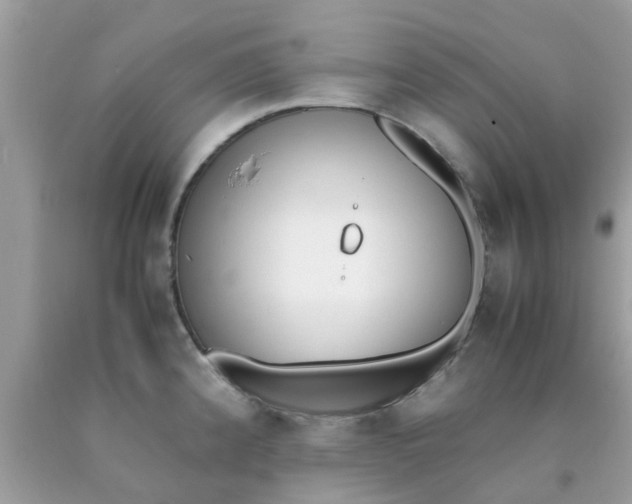 X0000090411192200707272042