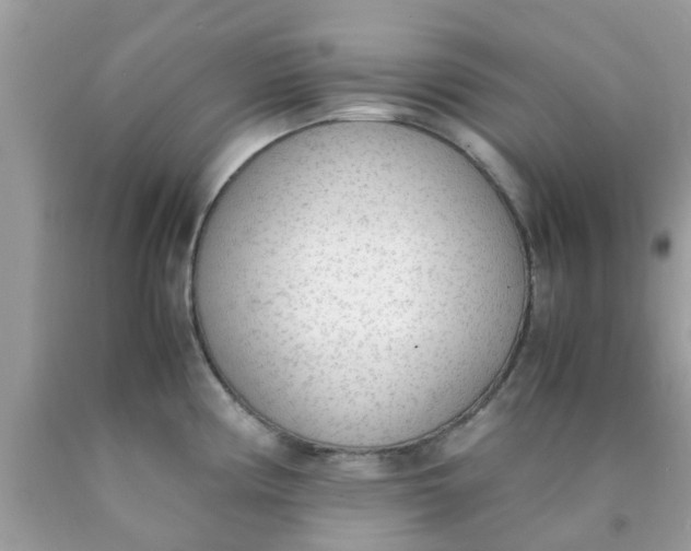X0000090411194200707272042