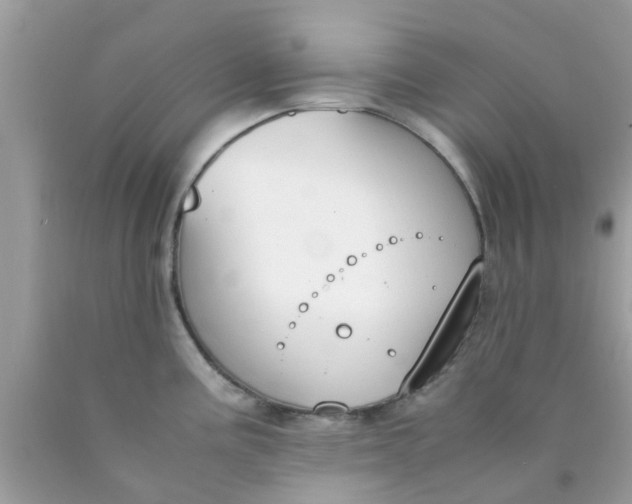X0000090411195200707272042