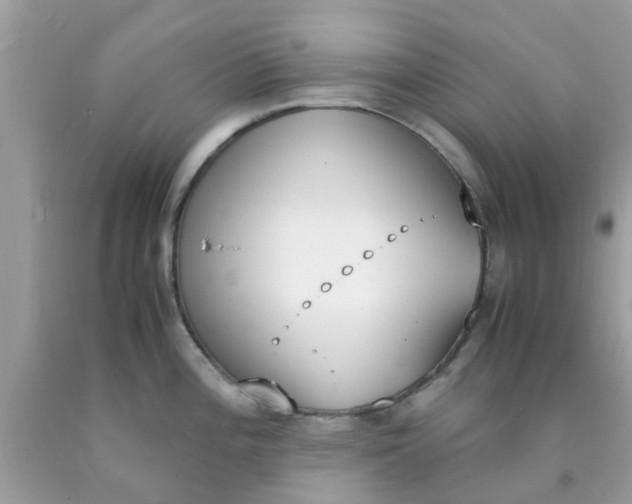 X0000090411196200707272042