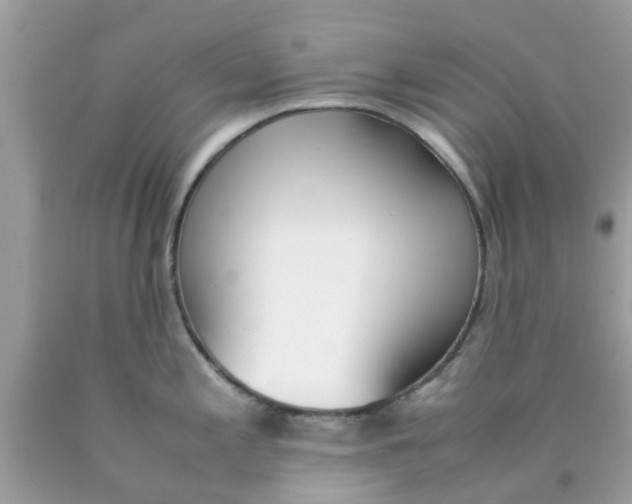 X0000090411197200707272042