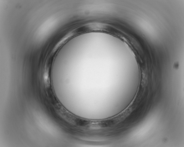 X0000090411198200707272042
