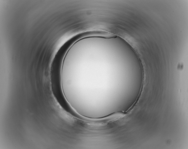 X0000090411200200707272042