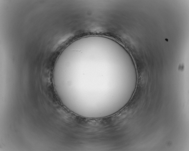 X0000090411205200707272042