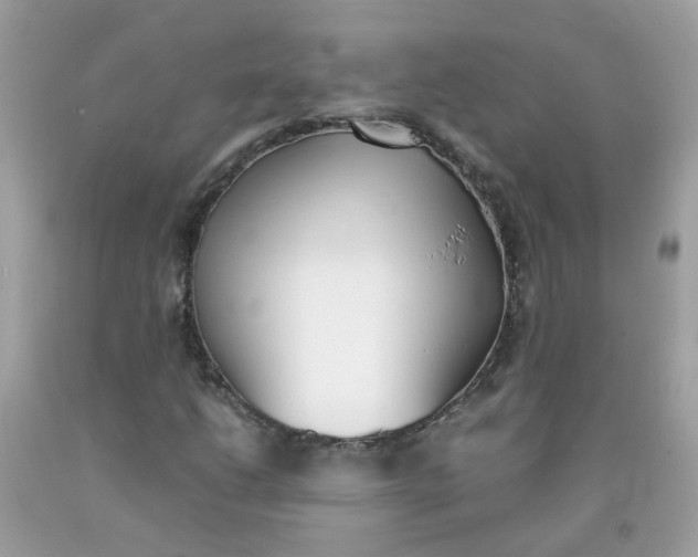 X0000090411206200707272042