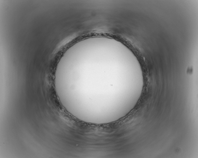 X0000090411207200707272042