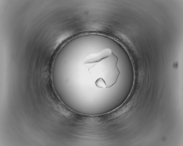 X0000090411210200707272042