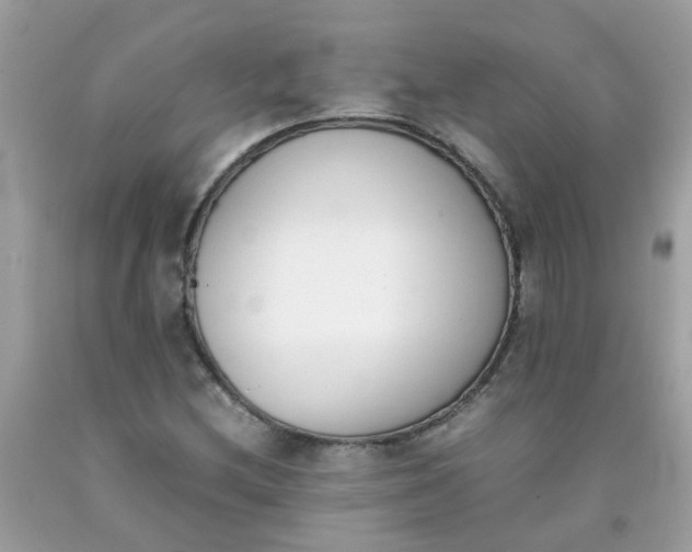 X0000090411212200707272042