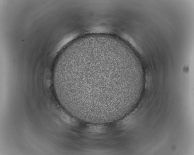 X0000090411213200707272042
