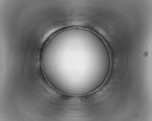 X0000090411214200707272042