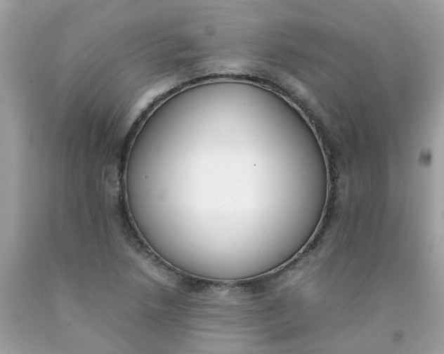 X0000090411218200707272042