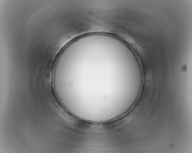 X0000090411220200707272042