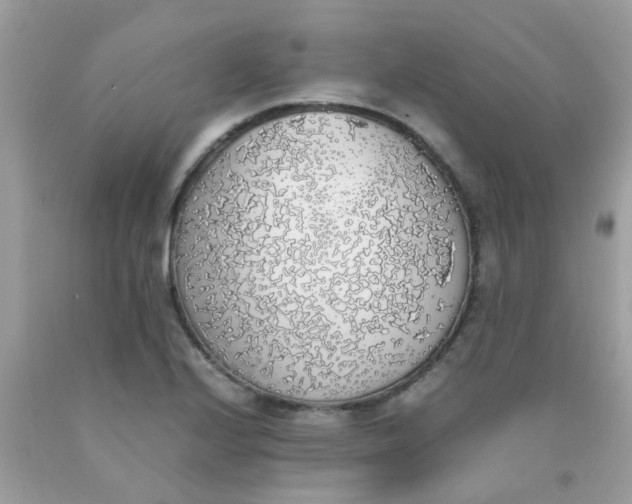 X0000090411224200707272042