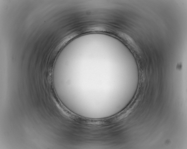 X0000090411225200707272042