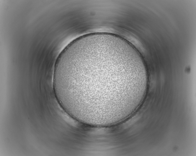 X0000090411228200707272042