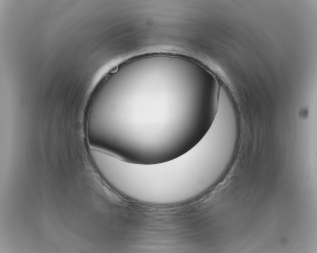 X0000090411230200707272042