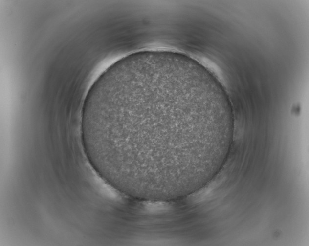 X0000090411231200707272042