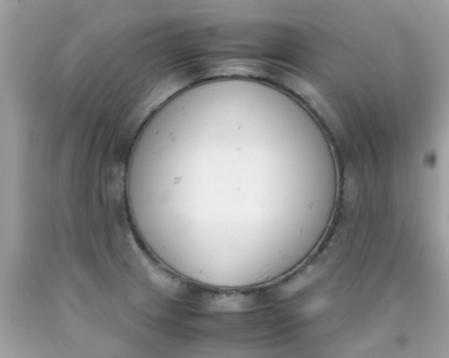 X0000090411233200707272042
