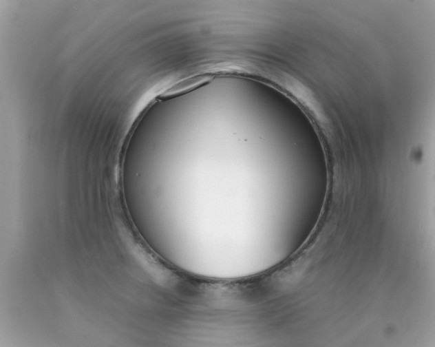 X0000090411234200707272042