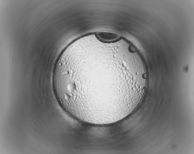 X0000090411237200707272042