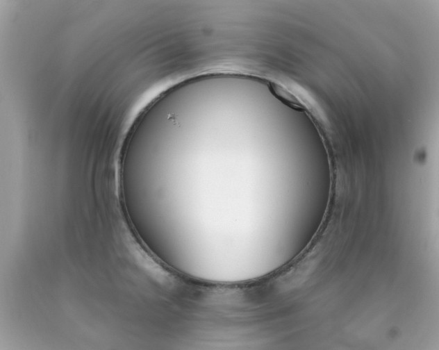 X0000090411238200707272042