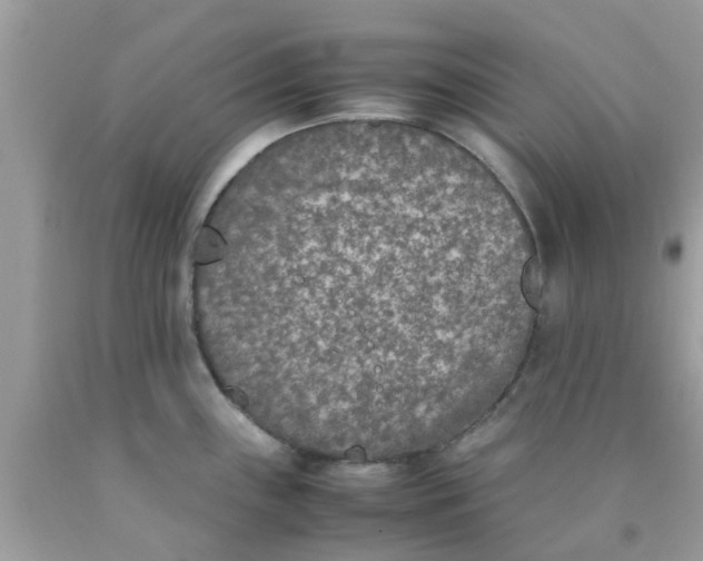 X0000090411243200707272042