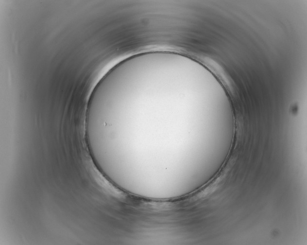 X0000090411244200707272042