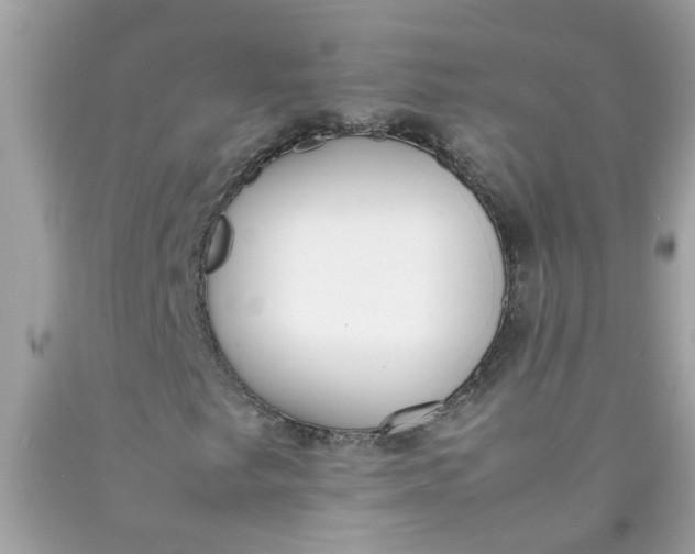 X0000090411249200707272042