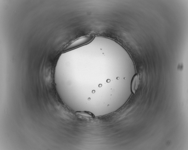 X0000090411250200707272042