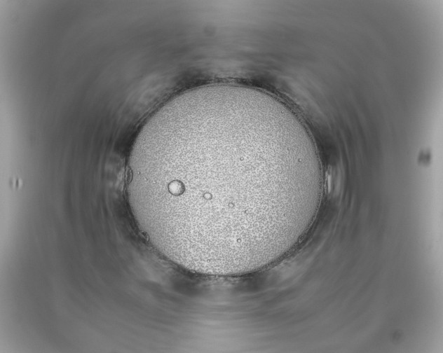 X0000090411251200707272042
