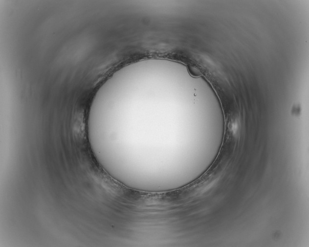 X0000090411252200707272042