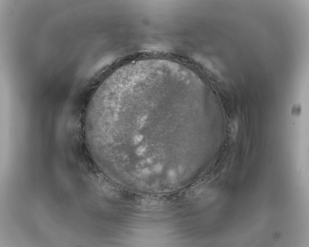 X0000090411254200707272042