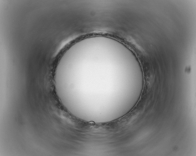 X0000090411256200707272042