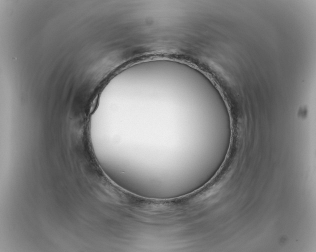 X0000090411257200707272042
