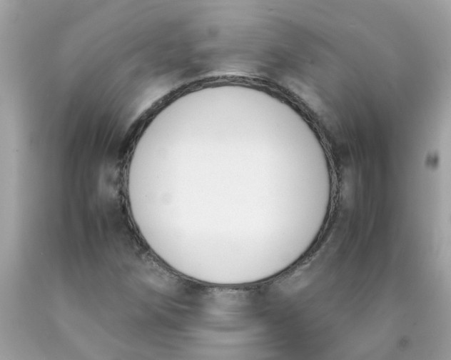 X0000090411258200707272041