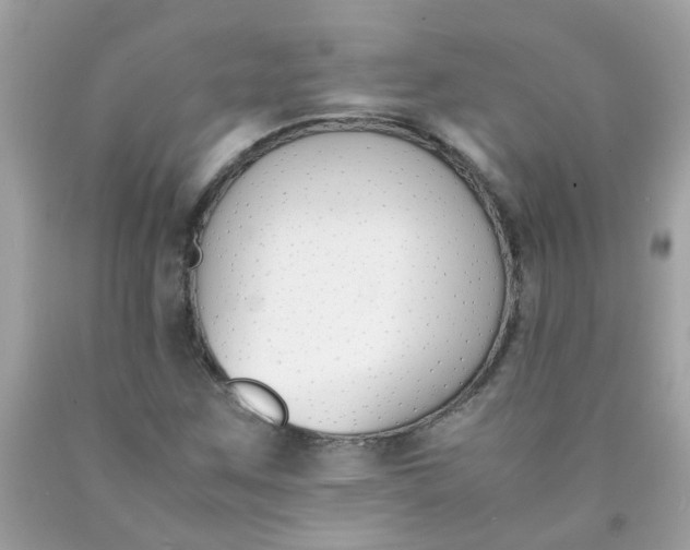 X0000090411259200707272041