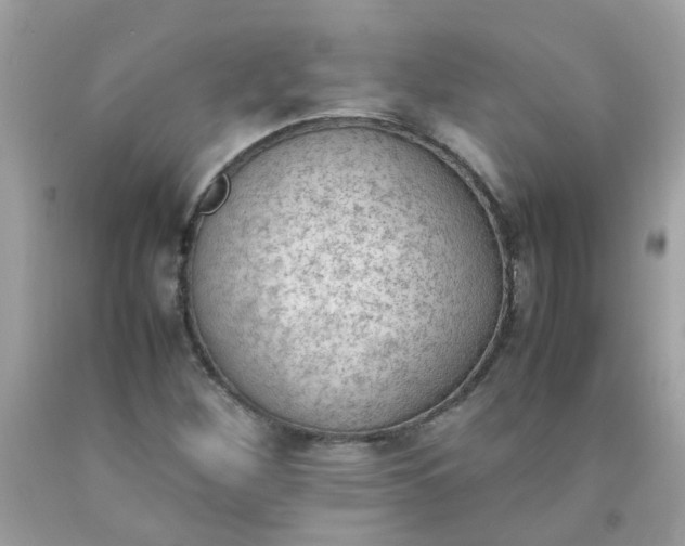 X0000090411260200707272041