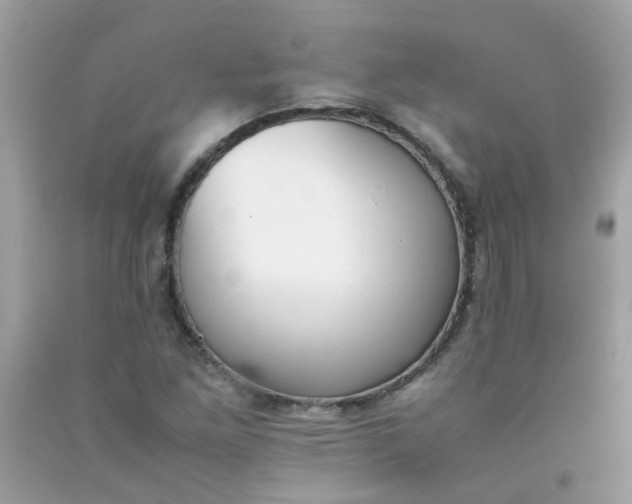 X0000090411261200707272041