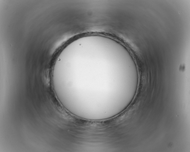 X0000090411262200707272041